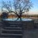 Impala Game Ranch - 252233