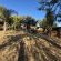 Impala Game Ranch - 252238