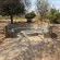 Impala Game Ranch - 252241