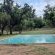Impala Game Ranch - 252260