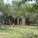 Impala Game Ranch - 252263