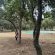 Impala Game Ranch - 252266