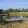 Impala Game Ranch - 252267