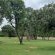 Impala Game Ranch - 252268