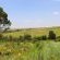 Jodev Farmstay - Neighbourhood