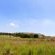 Jodev Farmstay - Garden