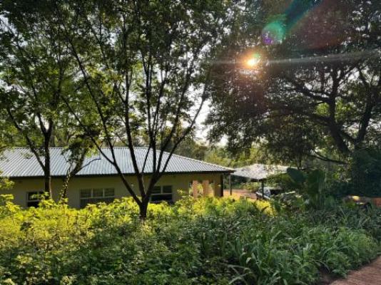 Scandi House - Property / Building