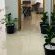 P Wake Luna Guest house - 252607
