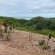 Sea La Mer Villa - View (from property/room)