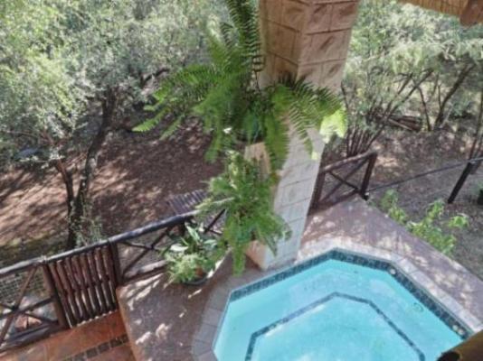 Kruger Tree Lodge - Swimming pool