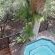 Kruger Tree Lodge - Swimming pool