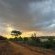Kruger Tree Lodge - Neighbourhood