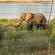Kruger Tree Lodge - Neighbourhood