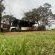 Rivers End Farm Stanford - 252932