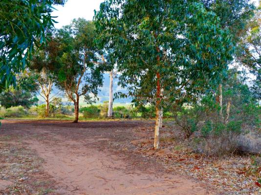 Rivers End Farm Stanford - 252954