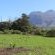 Rivers End Farm Stanford - 252955