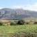 Rivers End Farm Stanford - 252957