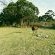 Rivers End Farm Stanford - 252959