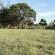 Rivers End Farm Stanford - 252961