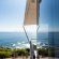 Whalesong Lodge - 252972