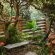Whalesong Lodge - 253017