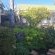 Housemartin Guest Lodge - 253140