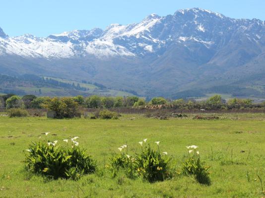 Welbedacht Game and Nature Reserve - 253277
