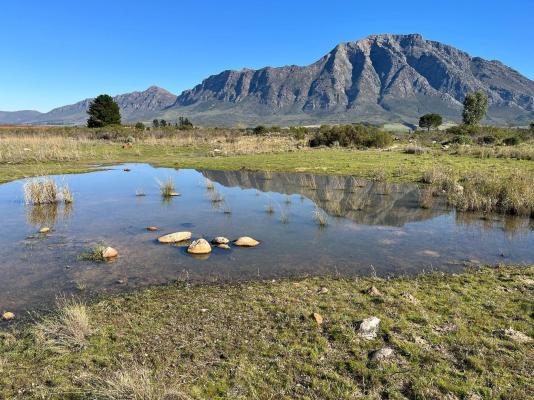 Welbedacht Game and Nature Reserve - 253279