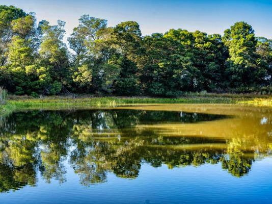 Welbedacht Game and Nature Reserve - 253281