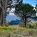 Welbedacht Game and Nature Reserve - 253315