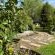 Welbedacht Game and Nature Reserve - 253352