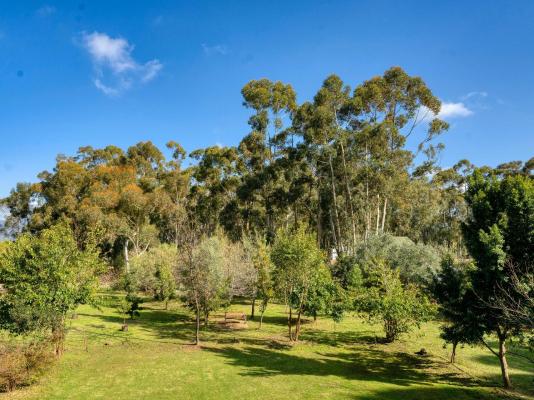 Welbedacht Game and Nature Reserve - 253353