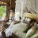 Lethabo Estate - 253387