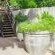 5 Seasons Guest House - 253543