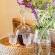 5 Seasons Guest House - 253551