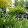 Golden Lantern Town Lodge - 253596
