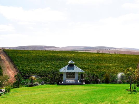 Arcangeli Wines - 253611