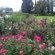 Gerald's Gift Guest House - 253750