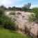 Gerald's Gift Guest House - 253752