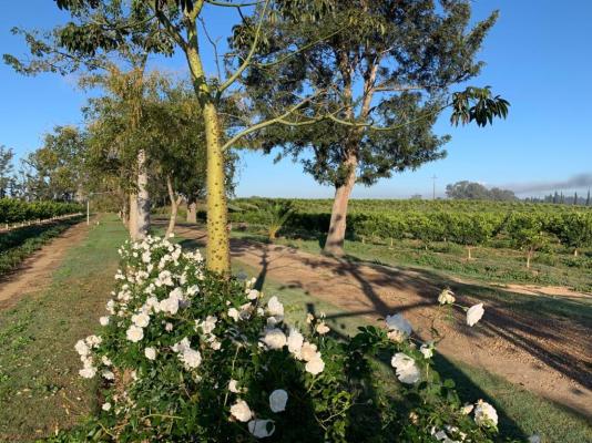 Gerald's Gift Guest House - 253758