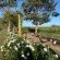 Gerald's Gift Guest House - 253758