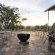 Aloegrove Safari Lodge - 253795