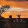 Aloegrove Safari Lodge - 253798