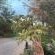 Aloegrove Safari Lodge - 253802