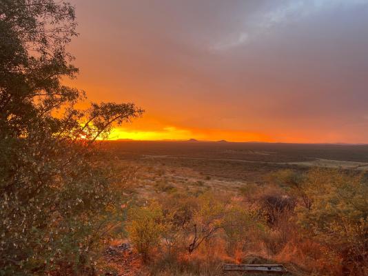 Aloegrove Safari Lodge - 253803