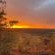 Aloegrove Safari Lodge - 253803