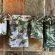 Aloegrove Safari Lodge - 253816