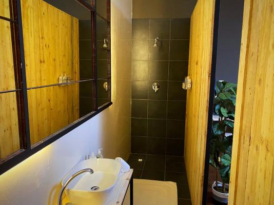 Royal Tree Guest House - 253903
