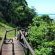 Montego Bay 32 and 9 - Natural landscape