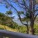 Montego Bay 32 and 9 - Lake view